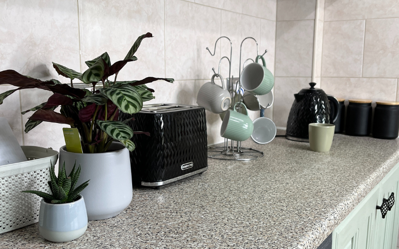Picture of a clean worktop with an assortment of plants, cups and a toaster.